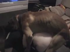 naughty plumper A beast screwing a missionary in Dakota